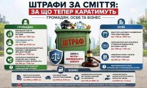 Штрафи за сміття: інфографіка деталізує види порушень та суми стягнень для громадян, ОСББ і бізнесу.